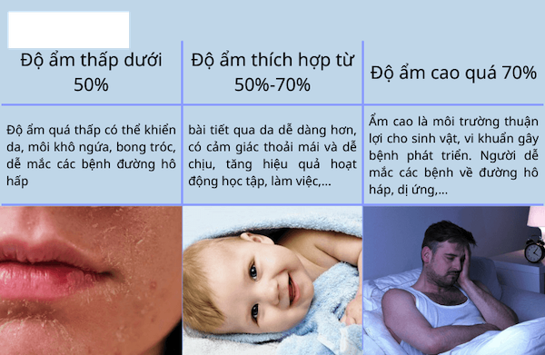 do-am-tieu-chuan-con-nguoi
