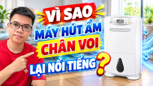 visaomayhutamchanvoilainoitieng